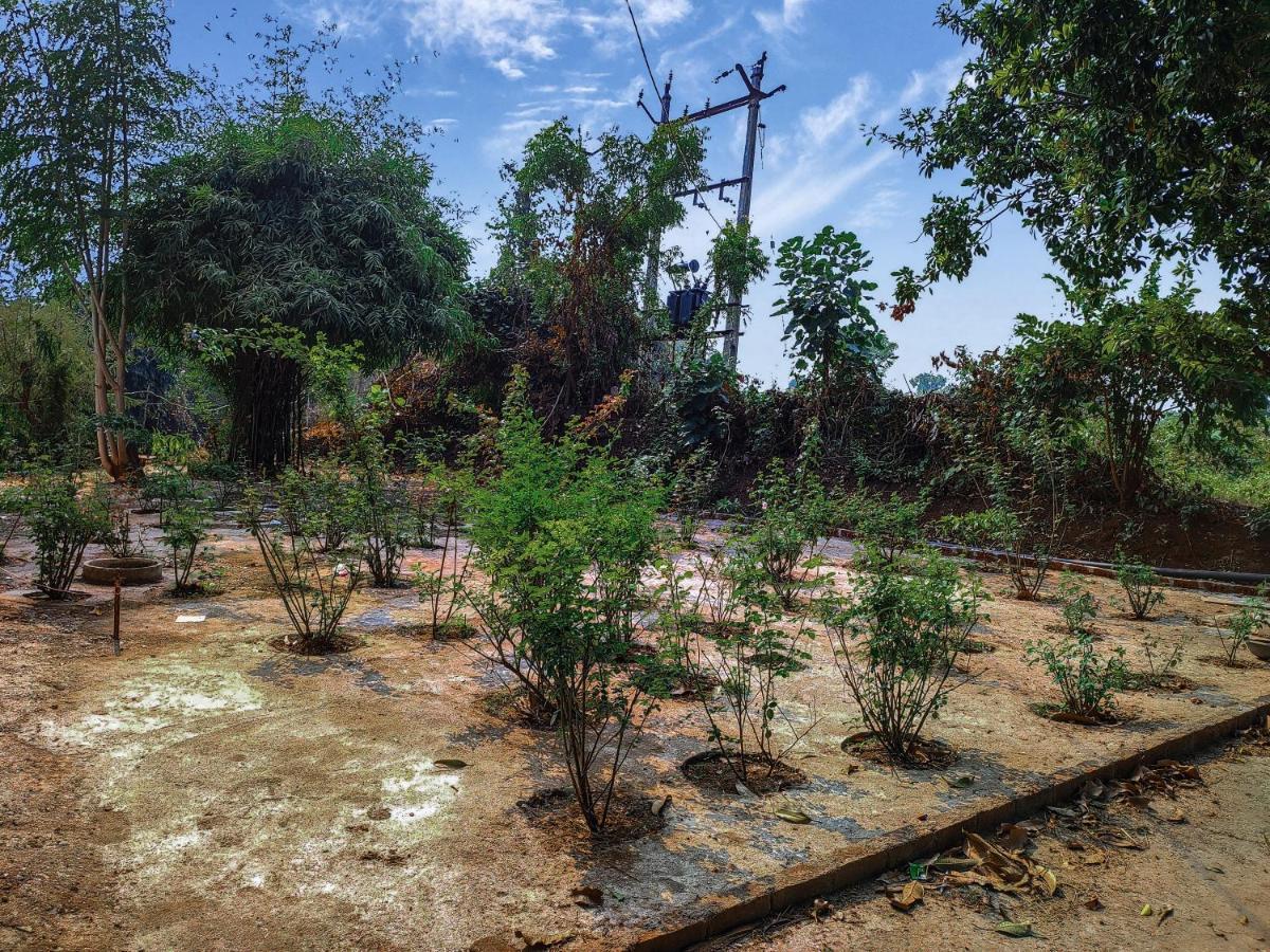 V J Farmstay Garudeshwar Exterior photo